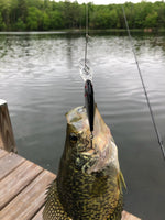 Valley Tieless Fishing Bluegill and Crappie